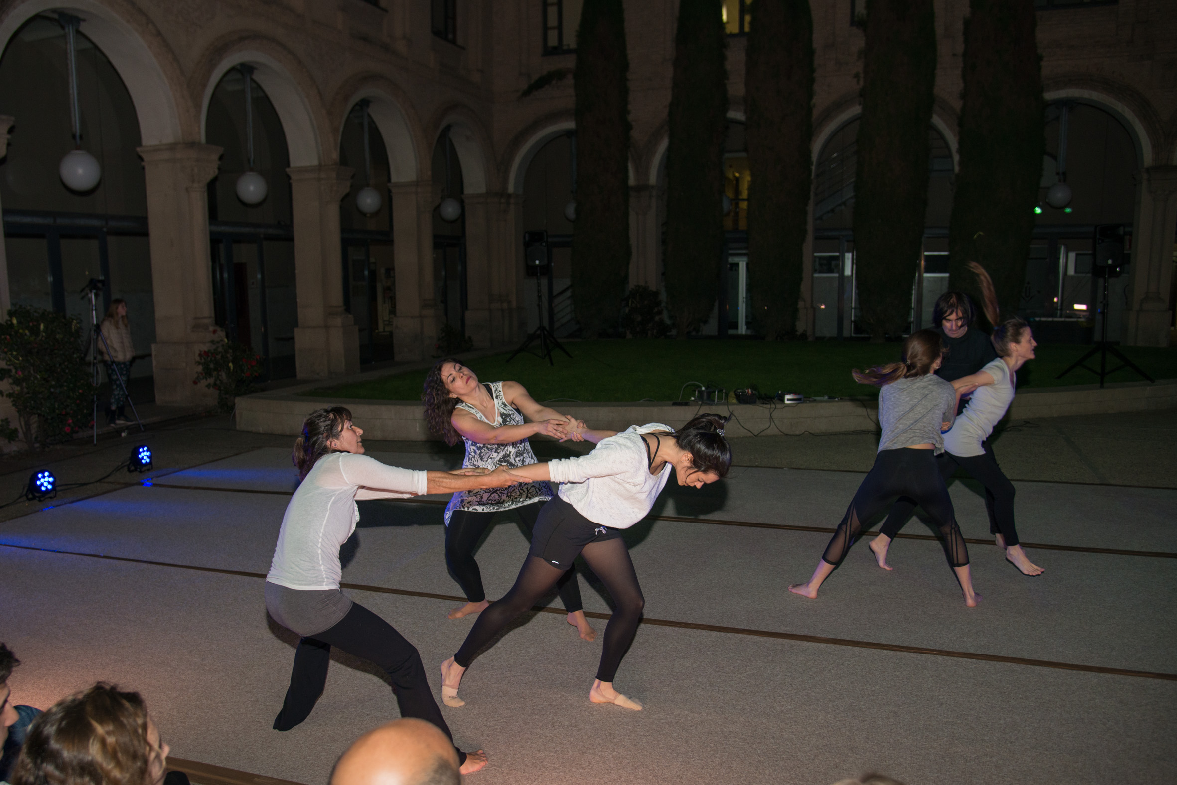 Dansa2019