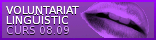 Voluntariat Lingüístic curs 2008-2009