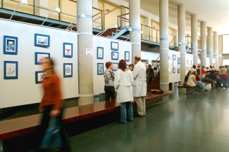 Facultat de Medicina. UdL