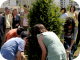 Plantada de l'Arbre de les Cultures al Campus de Cappont de la UdL