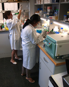 Investigació malalties degeneratives - IRB Lleida - Universitat de Lleida (UdL) Investigació malalties degeneratives - IRB Lleida - Universitat de Lleida (UdL)
