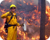 Màster incendis Universitat de Lleida UdL