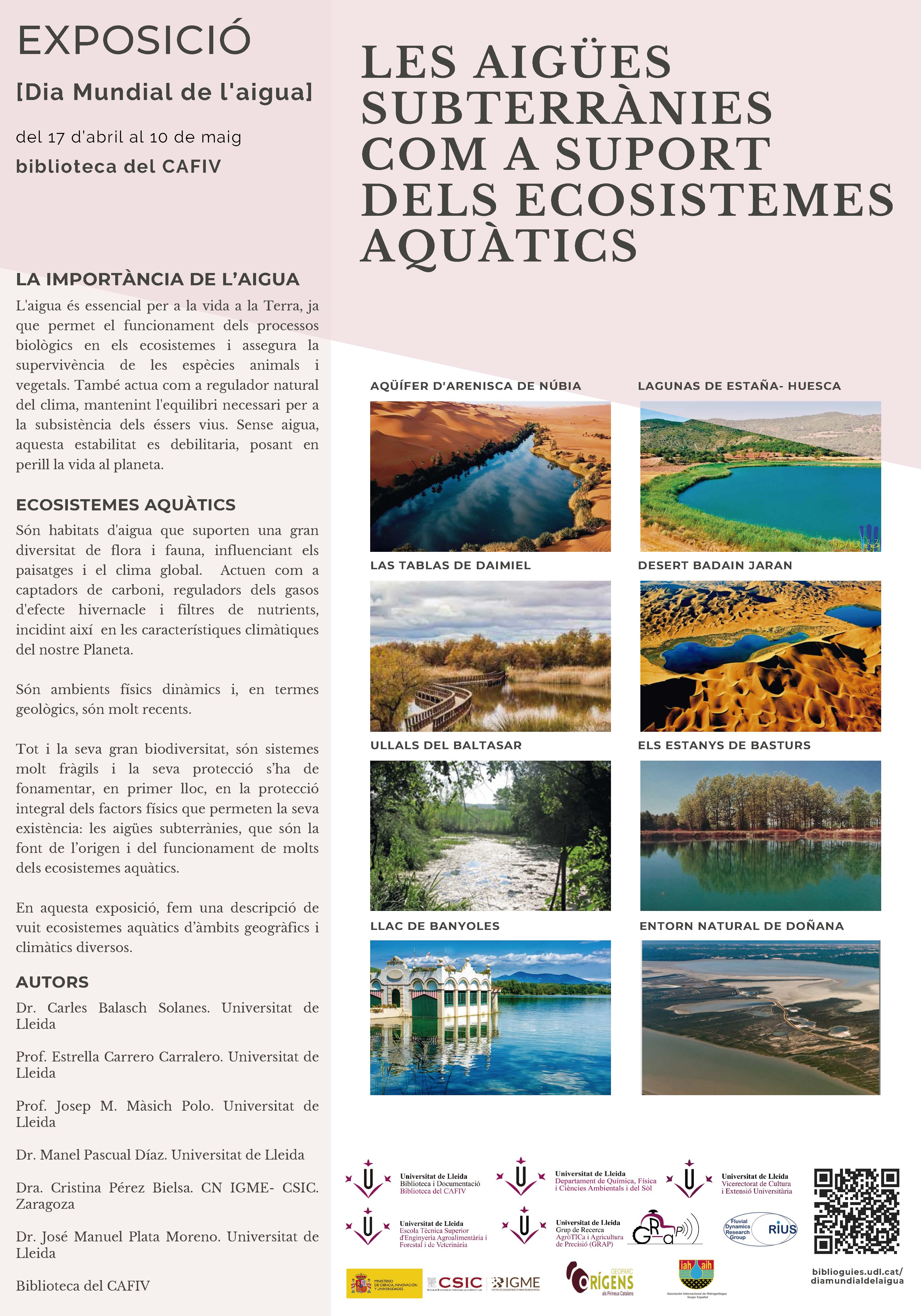 Exposició: Les aigües subterrànies com a suport dels ecosistemes aquàtics