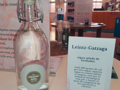 Exposició: Sals de brolladors i aigües minerals