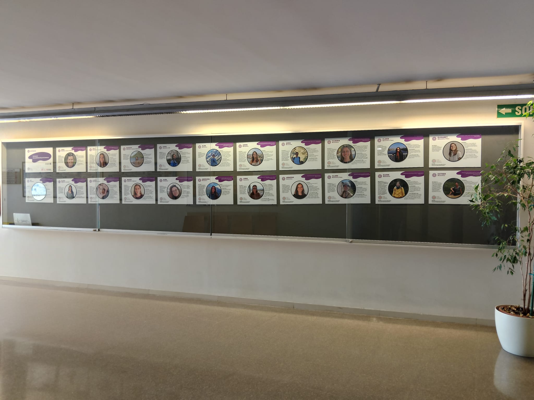 Exposició: #JovesMatemàtiquesCatalanes