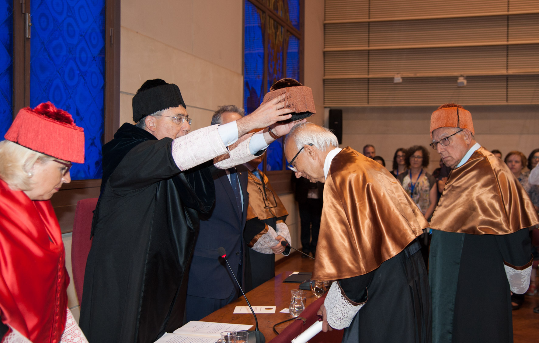 honorisUdLRattanLal2017